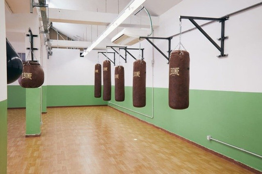 Immagine 3 dalla galleria del partner Underdog Boxing Family SSD