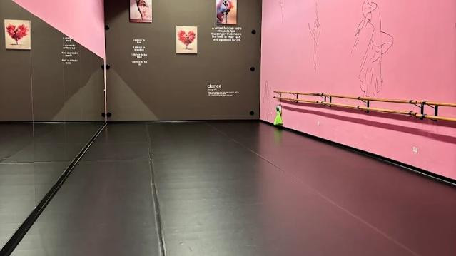 Immagine 3 dalla galleria del partner A.S.D. Alma Academy