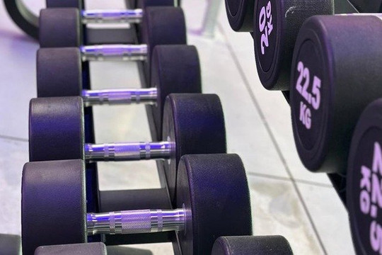 Imagem 3 da galeria do parceiro StartUP Academia