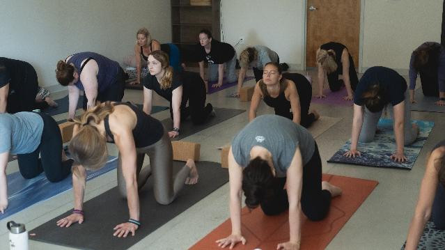 Image 3 from Mindful Owl Yoga partner gallery