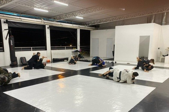 Imagem 2 da galeria do parceiro Ludus Centro de Artes Marciais
