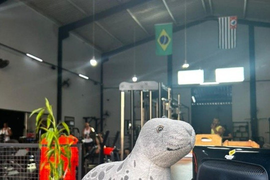 Imagem 3 da galeria do parceiro Will BodyFitness