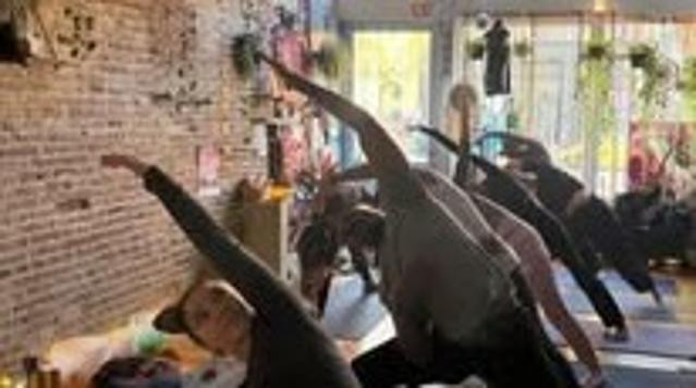Image 3 from Michele Blu Yoga partner gallery