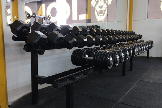 Imagem 3 da galeria do parceiro Lion Gym Gravatai