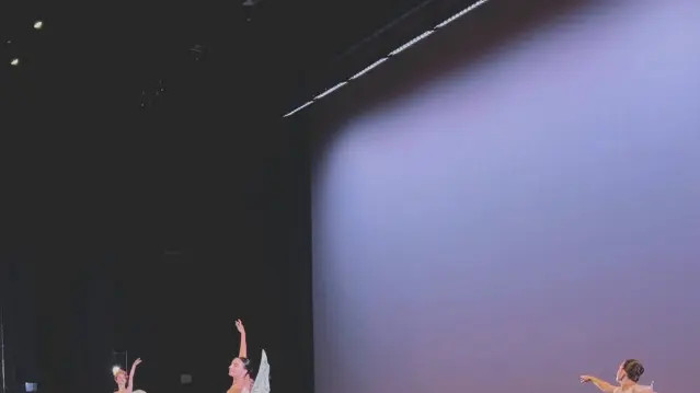 Image 3 from Wonderfully Made Dance partner gallery
