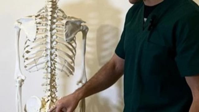 Immagine 3 dalla galleria del partner Studio di Mirco Brunetti – Mola di Bari