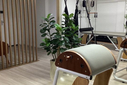 Imagem 3 da galeria do parceiro Denise Lellis | Pilates Studio