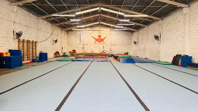 Imagen 1 de la galería del partner Gimnasia PYRGOS