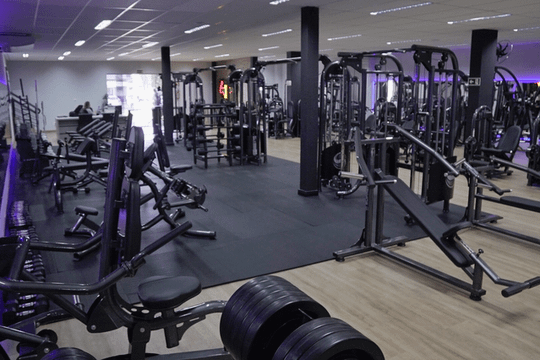 Imagem 1 da galeria do parceiro Estimoove