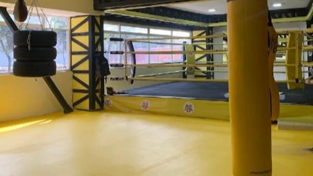 Imagen 3 de la galería del partner Rocco Boxing Club