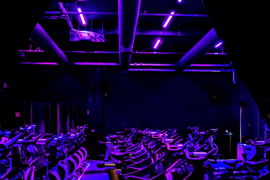 Bild 3 von BEAT81 - Cycle Studio Harras Partnergalerie