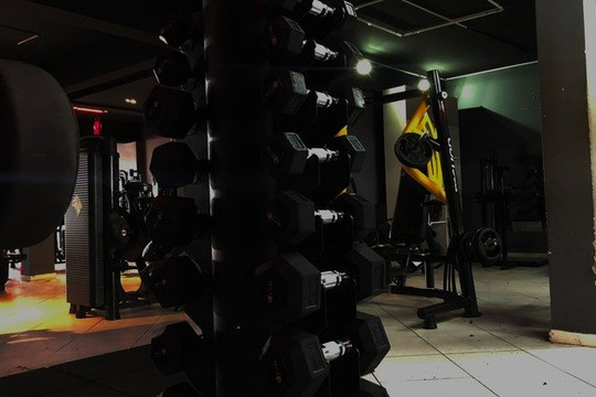 Imagem 2 da galeria do parceiro Evolution Gvm