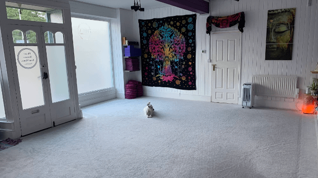 Image 3 from Holistic Labyrinth partner gallery