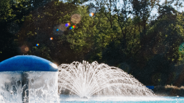 Bild 1 von SWN Bäder Freibad Nordbad Partnergalerie