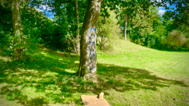 Bild 3 von Yoga mit Chiara - Beethoven Park - Outdoor Partnergalerie