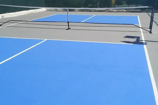 Immagine 1 dalla galleria del partner Opuntia