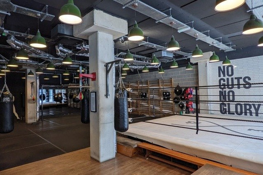 Image 1 from 12x3 Boxing partner gallery