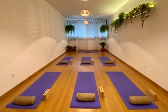 Imagem 1 da galeria do parceiro Sarasvati Yoga