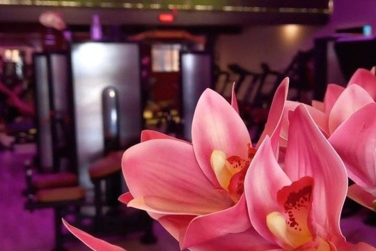 Imagem 1 da galeria do parceiro Maravilhosas Academia Boutique