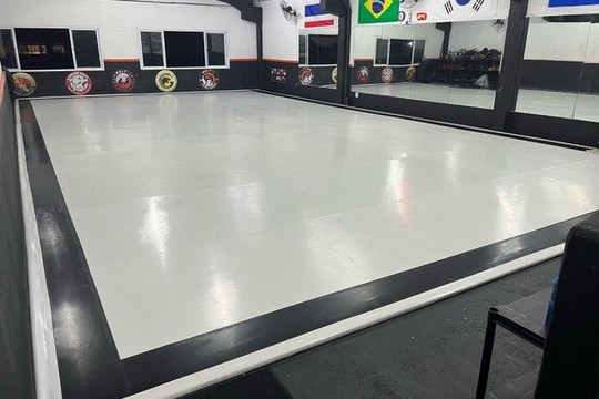 Imagem 1 da galeria do parceiro CT Belt's Academia de Artes Marciais