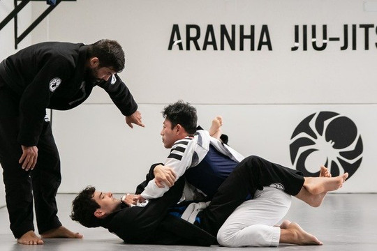 Imagen 1 de la galería del partner Aranha Sant Cugat