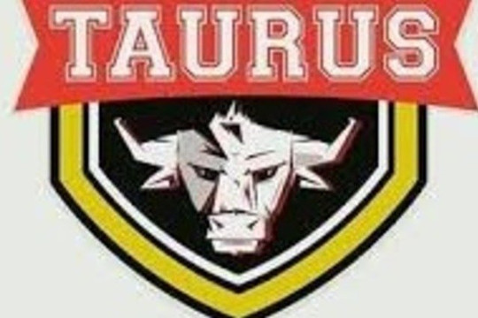 Imagem 1 da galeria do parceiro Studio Taurus