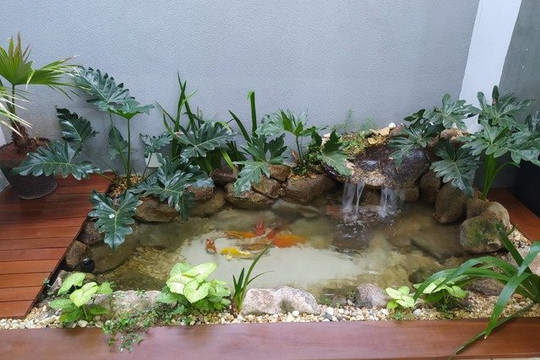 Imagem 3 da galeria do parceiro Academia RJ Arena Fitness