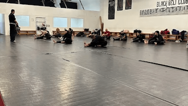 Image 1 from Renzo Gracie Evolution partner gallery