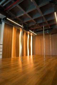 Imagem 11 da galeria do parceiro Studio Fisiopam