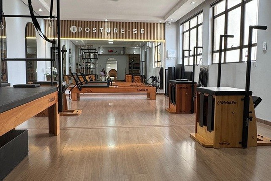 Imagem 1 da galeria do parceiro Posture-se pilates by Dani Sewo