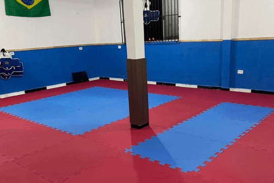 Imagem 1 da galeria do parceiro Liga Leste de Taekwondo