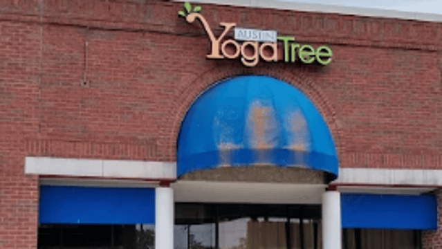 Image 2 from Austin Yoga Tree partner gallery
