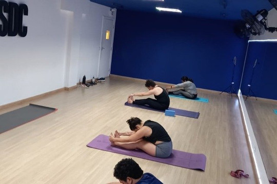 Imagem 3 da galeria do parceiro Alapadma Yoga