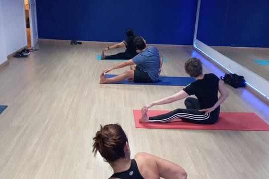 Imagem 1 da galeria do parceiro Alapadma Yoga