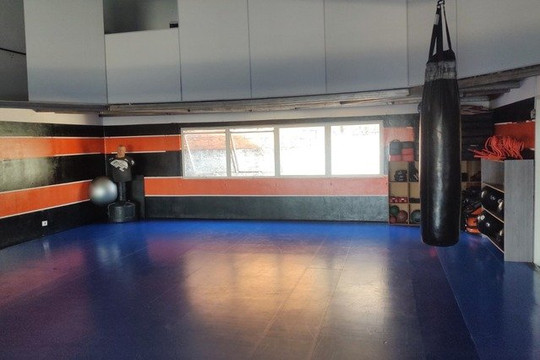Imagem 3 da galeria do parceiro Gracie Barra Bom Clima