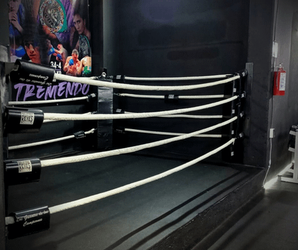 Imagen 3 de la galería del partner Underground Box & Fit