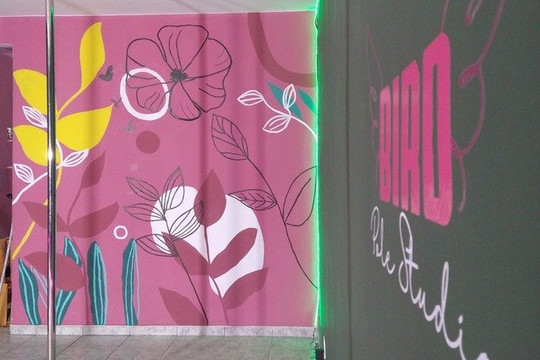 Imagem 1 da galeria do parceiro Bird Pole Studio