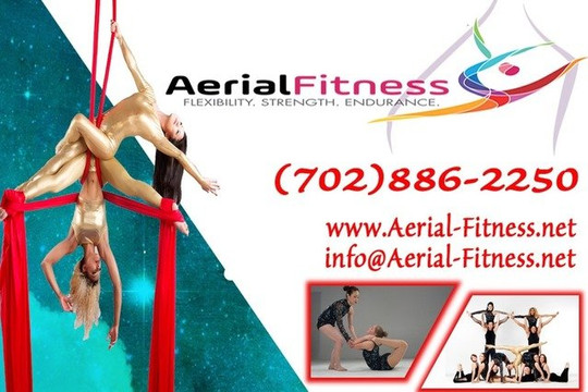 Image 1 from Aerial Fitness partner gallery