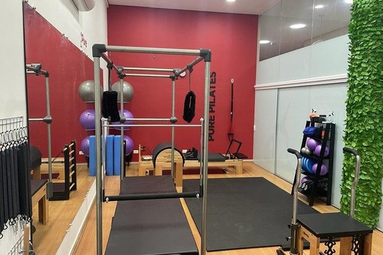 Imagem 2 da galeria do parceiro Pure Pilates - Santo André - Jardim