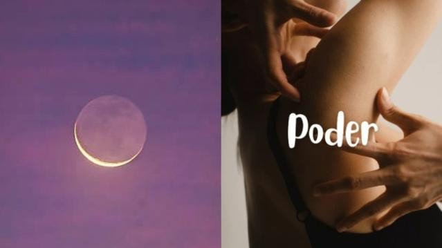 Imagen 3 de la galería del partner Libdo CC Centtral Interlomas