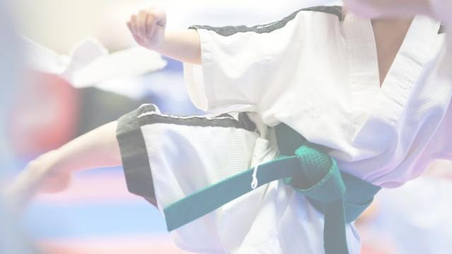 Image 1 from 47 Chamber Martial Arts partner gallery