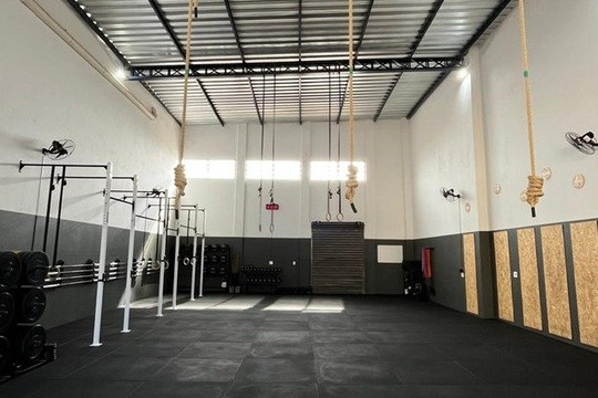 Imagem 1 da galeria do parceiro Alpha Cross Training
