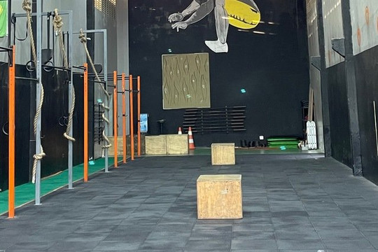 Imagem 1 da galeria do parceiro Lion Box