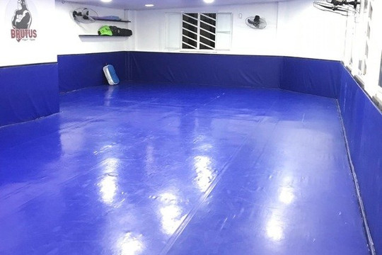 Imagem 1 da galeria do parceiro Brutus Muay Thai / Double Five jiu-jitsu Méier
