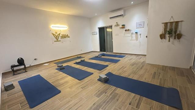 Imagen 1 de la galería del partner Zcenith Yoga