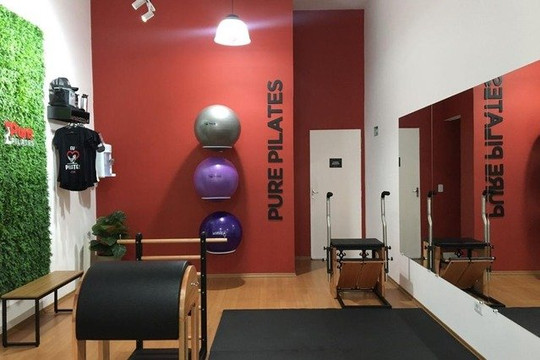 Imagem 3 da galeria do parceiro Pure Pilates - Vila Zilda