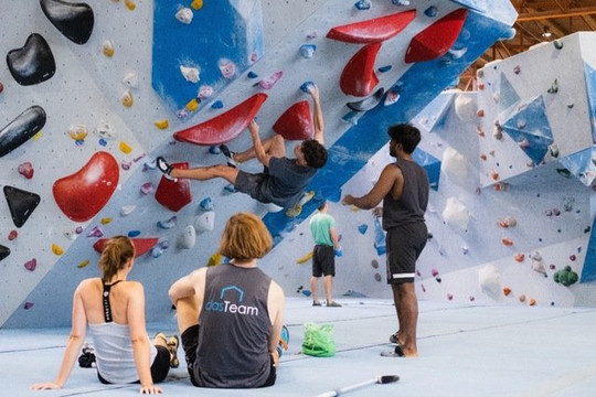 Bild 1 von dieHalle Partnergalerie