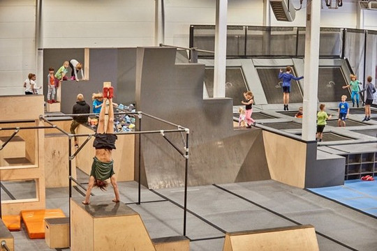 Bild 2 von dieHalle Partnergalerie