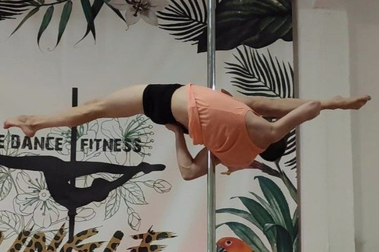 Imagen 1 de la galería del partner Pole Dance Fitness Jungle