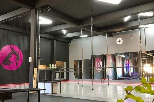 Imagem 1 da galeria do parceiro Espaço da Mulher Pole Dance & Aero